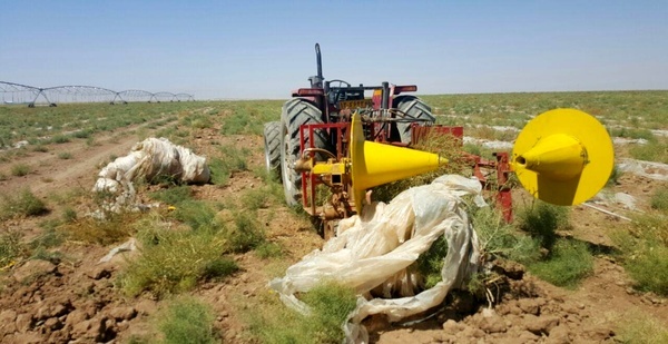 استقاده از مالچ پلاستیکی و لوله های تیپ در مزارع کشاورزی مدیریت شود