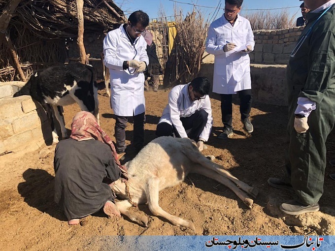 اقدامات جهادی جوانان دانشجو در روستاهای سیستان