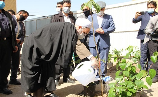 ائمه جمعه قم و تهران نهال کاشتند