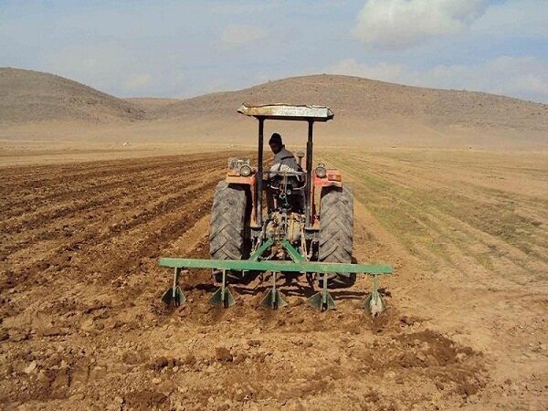 ماجرای نامرغوب بودن بذرهای گندم در بندرگز بررسی می شود