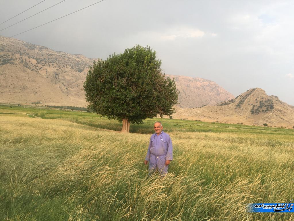 واکنش کشاورز چرامی به سخنان مسئولین جهاد کشاورزی / وجود دستانی پنهان در شبیخون به فرمان رهبری / این مدیر فرودست کاره ای نیست !